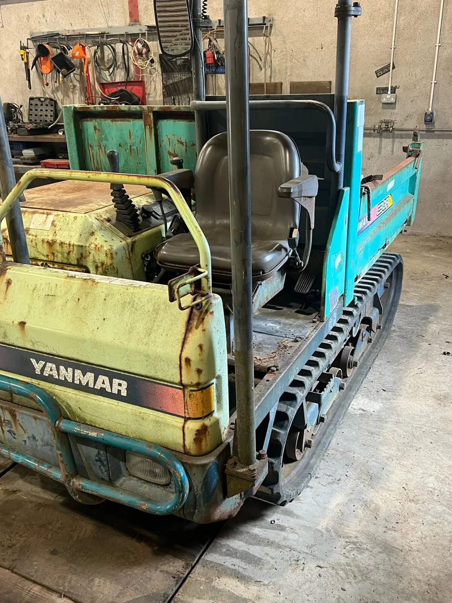 Track dumper - Image 2