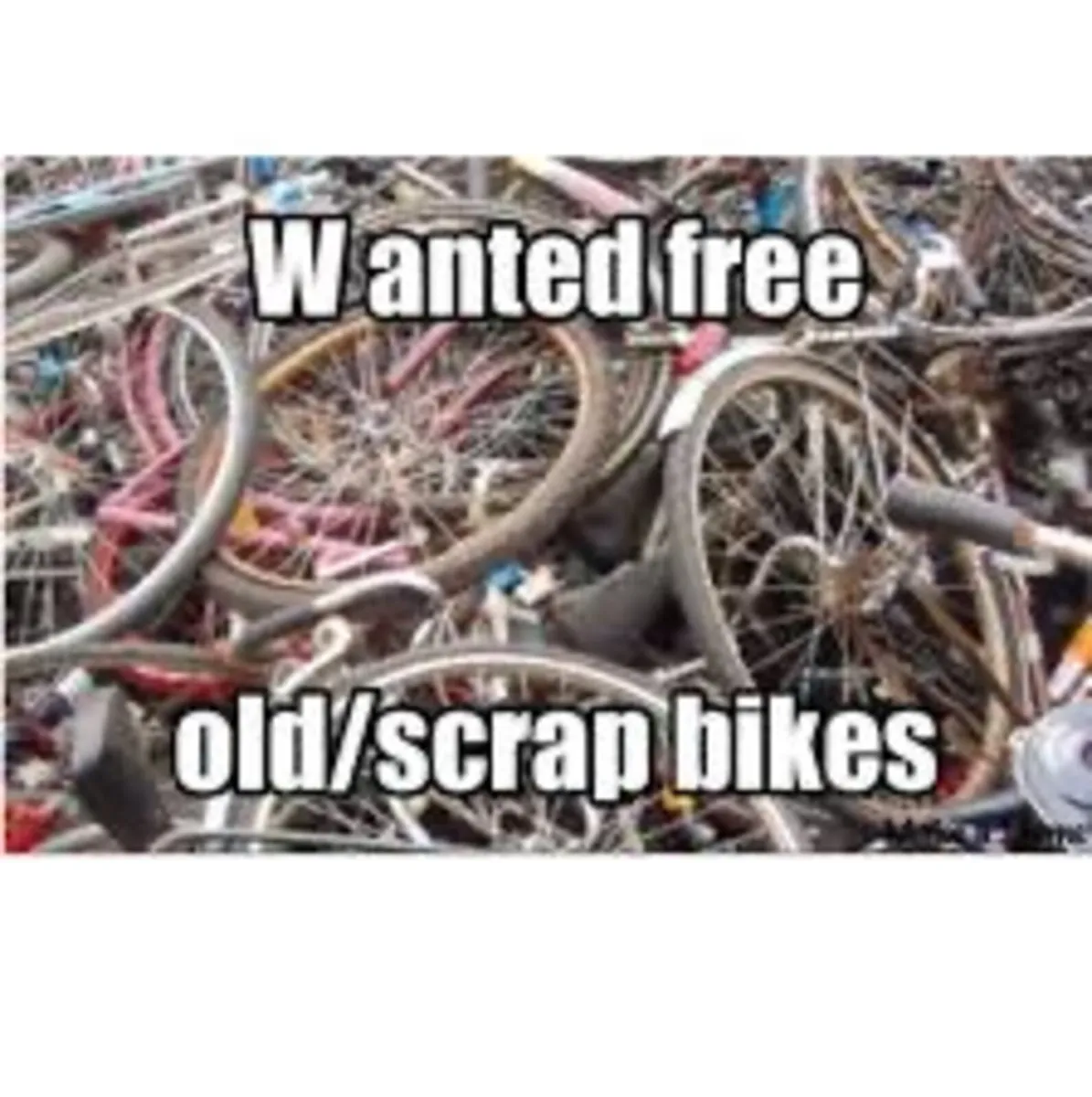 Bicycles - Image 1