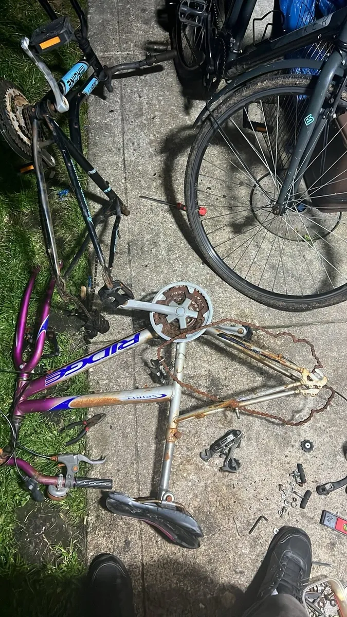 Bicycles - Image 2