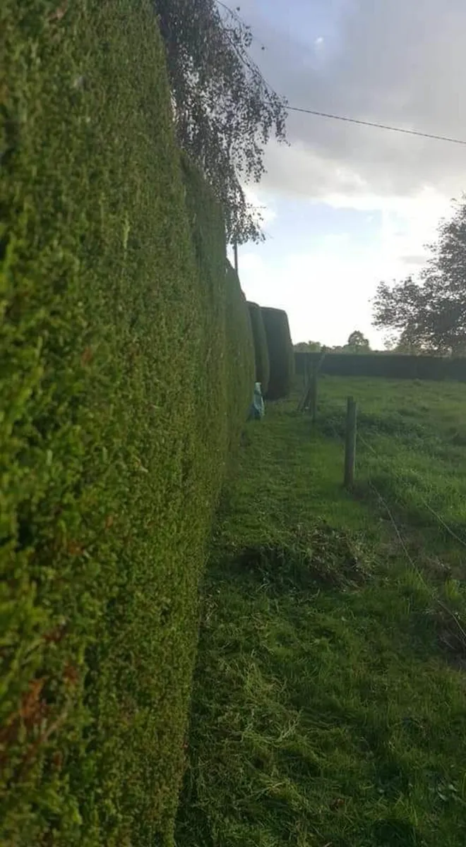 Gardening