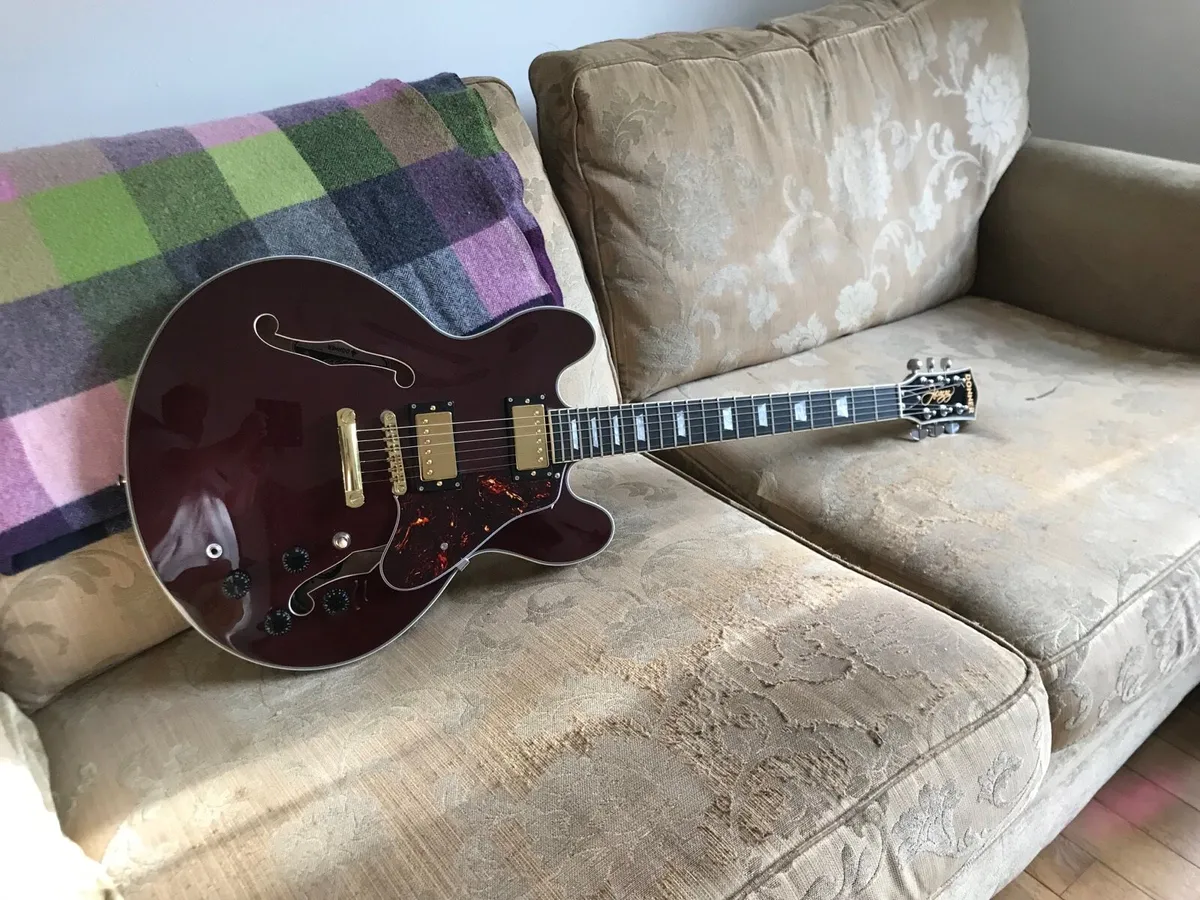 335 style guitar - Image 4