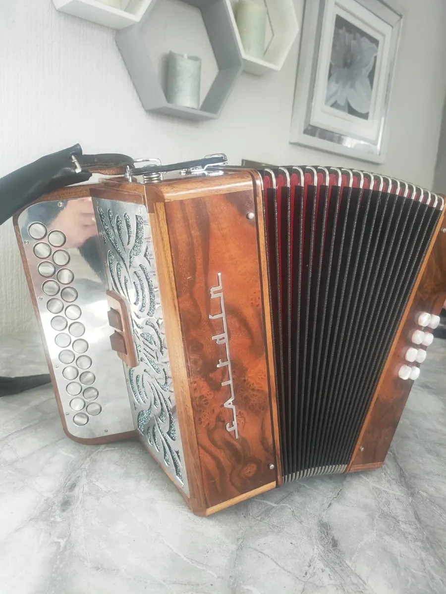 Cairdin accordion - Image 4