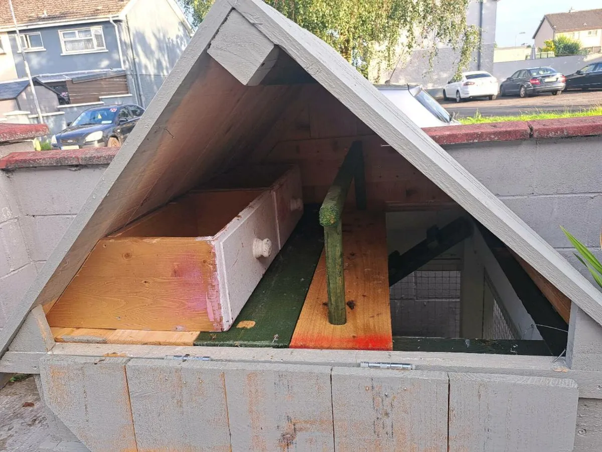 Chicken coop/Rabbit hutch - Image 3