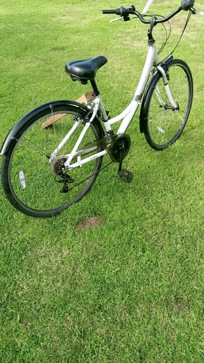 Lady bicycle (new) - Image 1