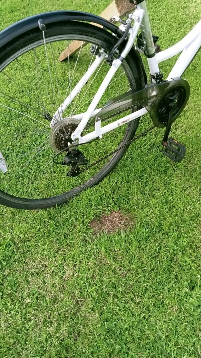 Lady bicycle (new) - Image 2