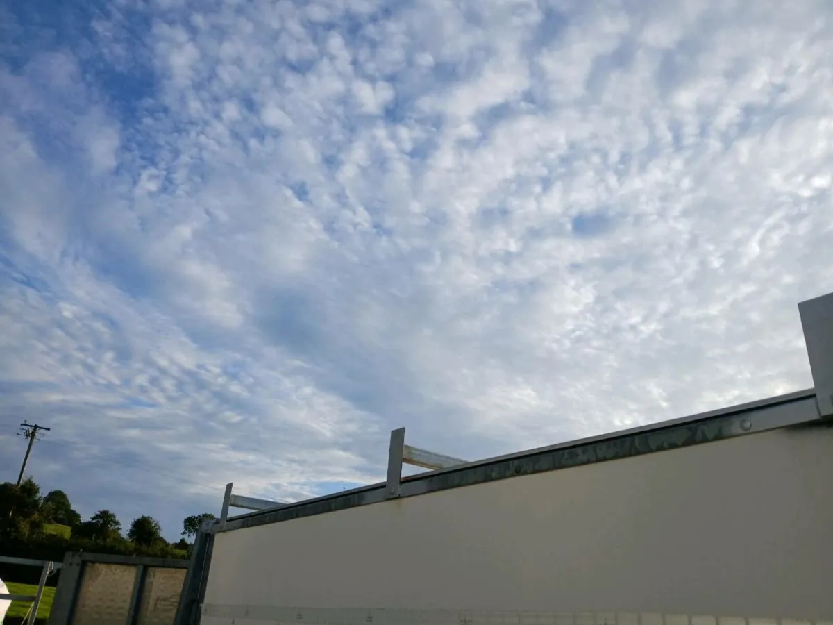 Box trailer - Image 3