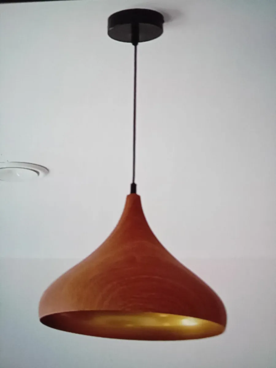 Pendant ceiling lights