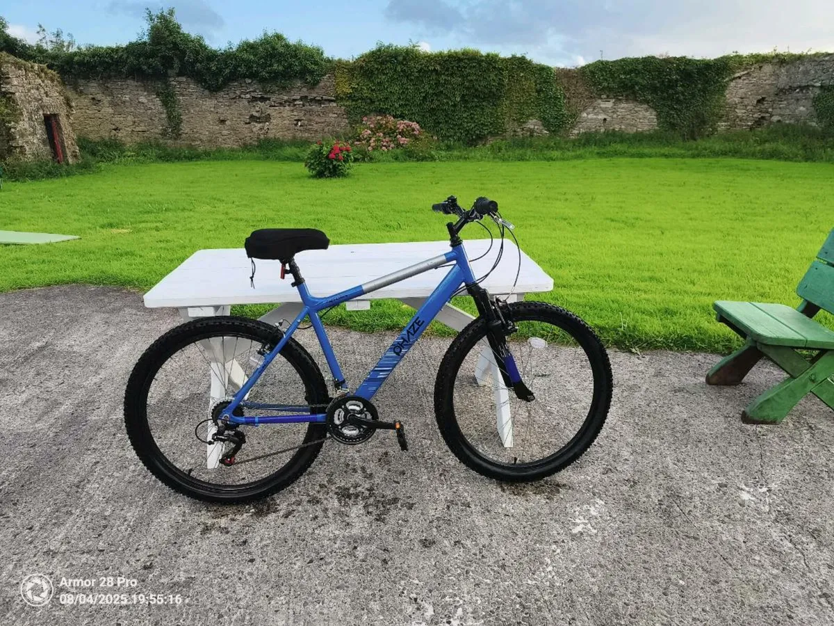 bicycle for adult and teenager - Image 1