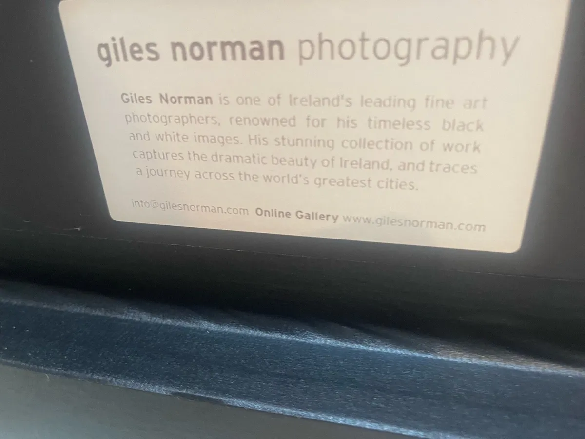 Magnificent Original Giles Norman Framed Picture - Image 2