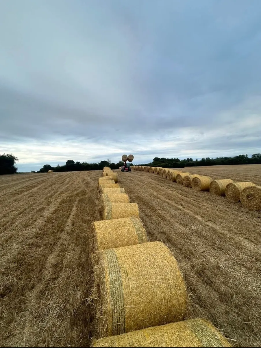 Round Bales Of 2025 Barley Straw - Image 2