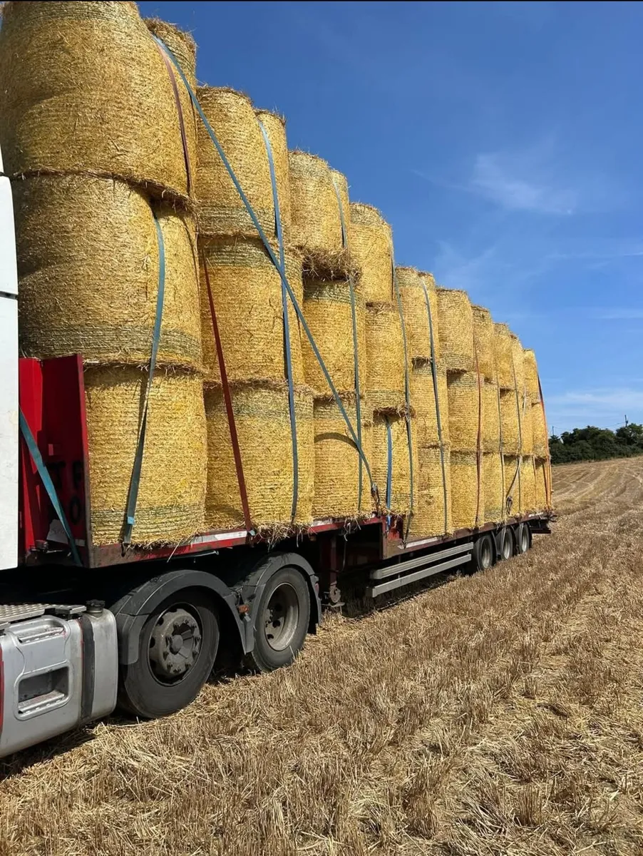 Round Bales Of 2025 Barley Straw - Image 3
