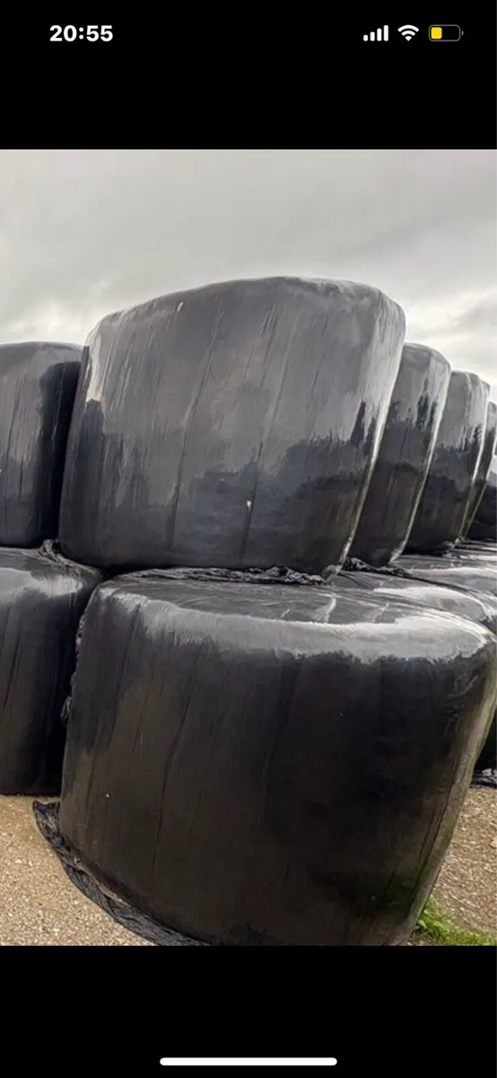 Silage - Image 1