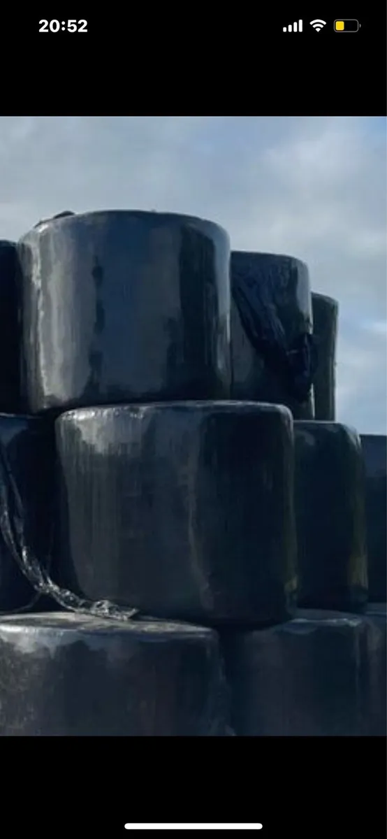 Silage - Image 2