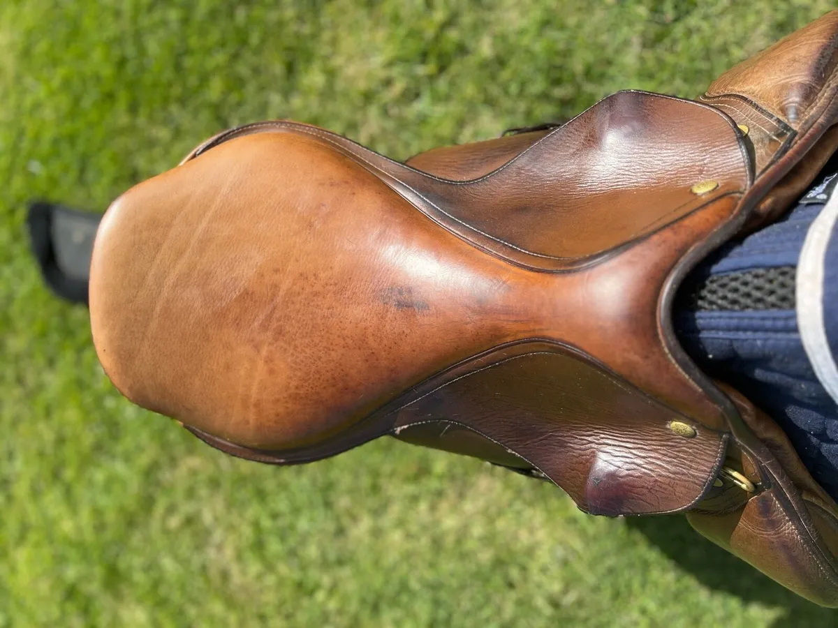 Full leather horse Saddle for sale ( Need Gone) - Image 3