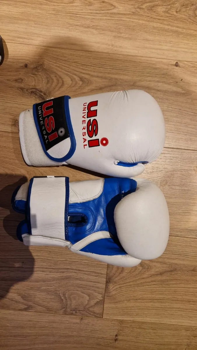 boxing gloves - Image 2