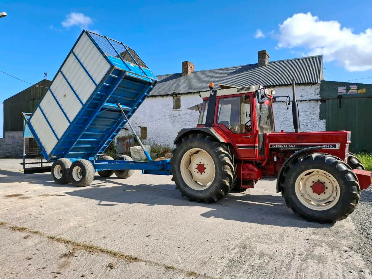 14ft by 8ft Donnelly - Image 2