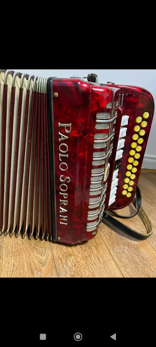 Accordion - Image 4