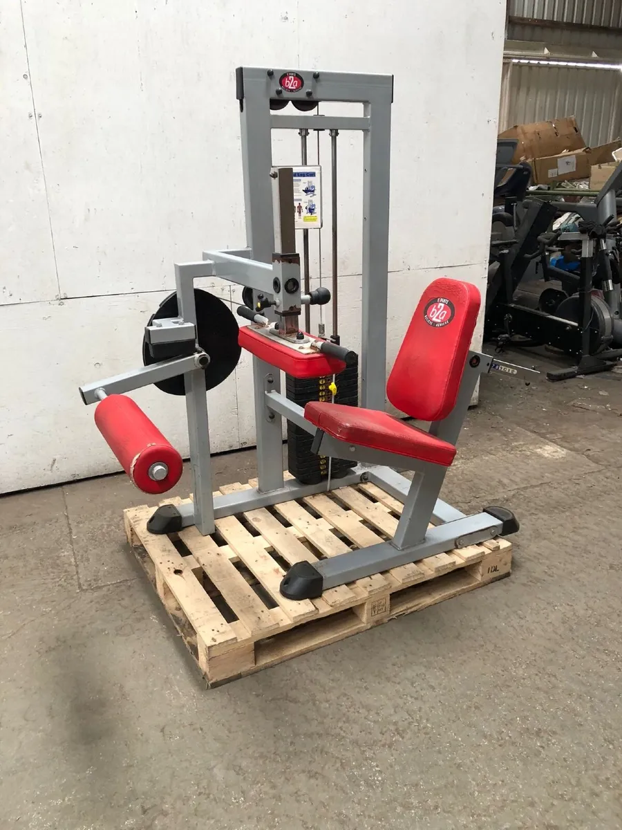 Indigo Seated Hamstring Curl Pin Select - Image 1