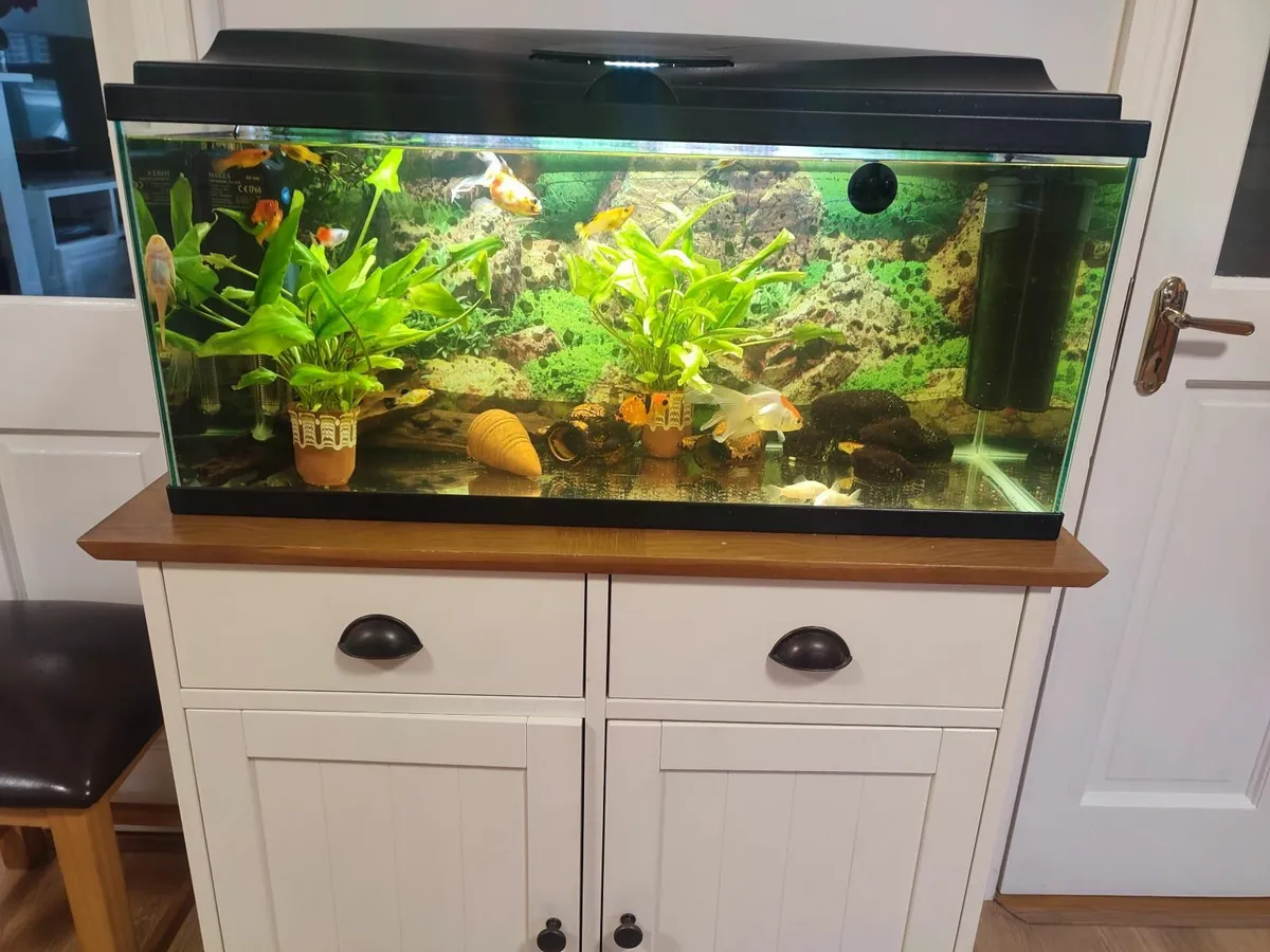 Fish tank