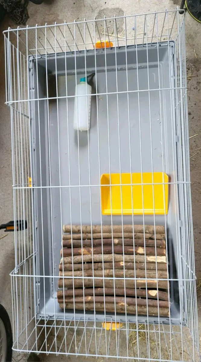 Rabbit / Hamster cage