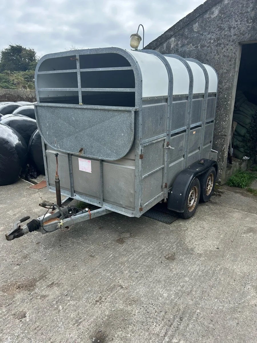 McSweeney double axed galvanised cattle trailer - Image 2