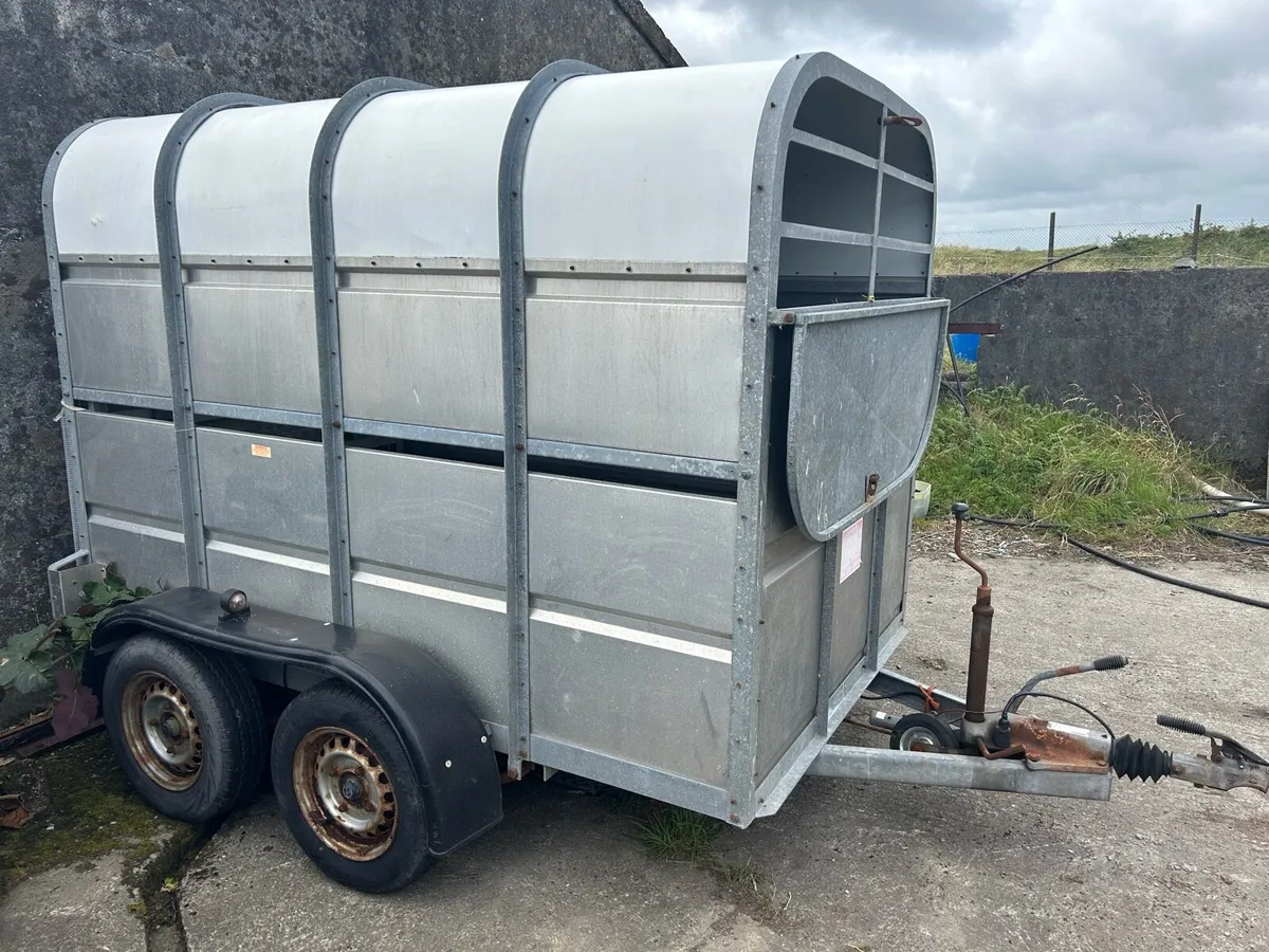 McSweeney double axed galvanised cattle trailer - Image 3