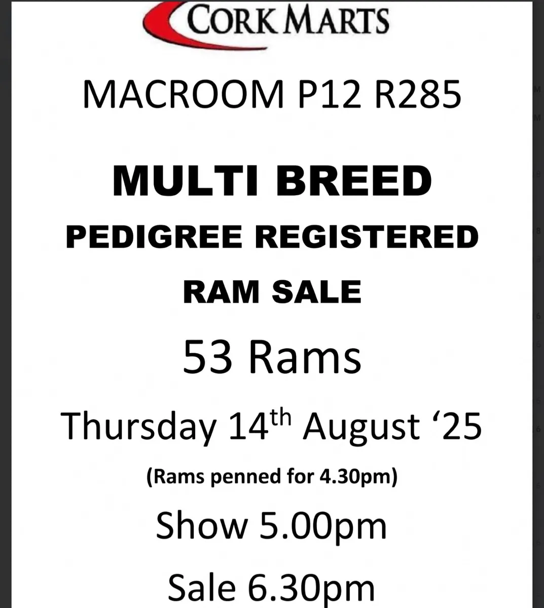 Macroom Multibreed  Ram Sale - Image 1