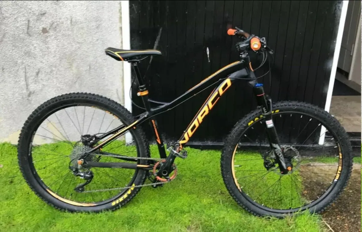 Mountain bike - Image 1