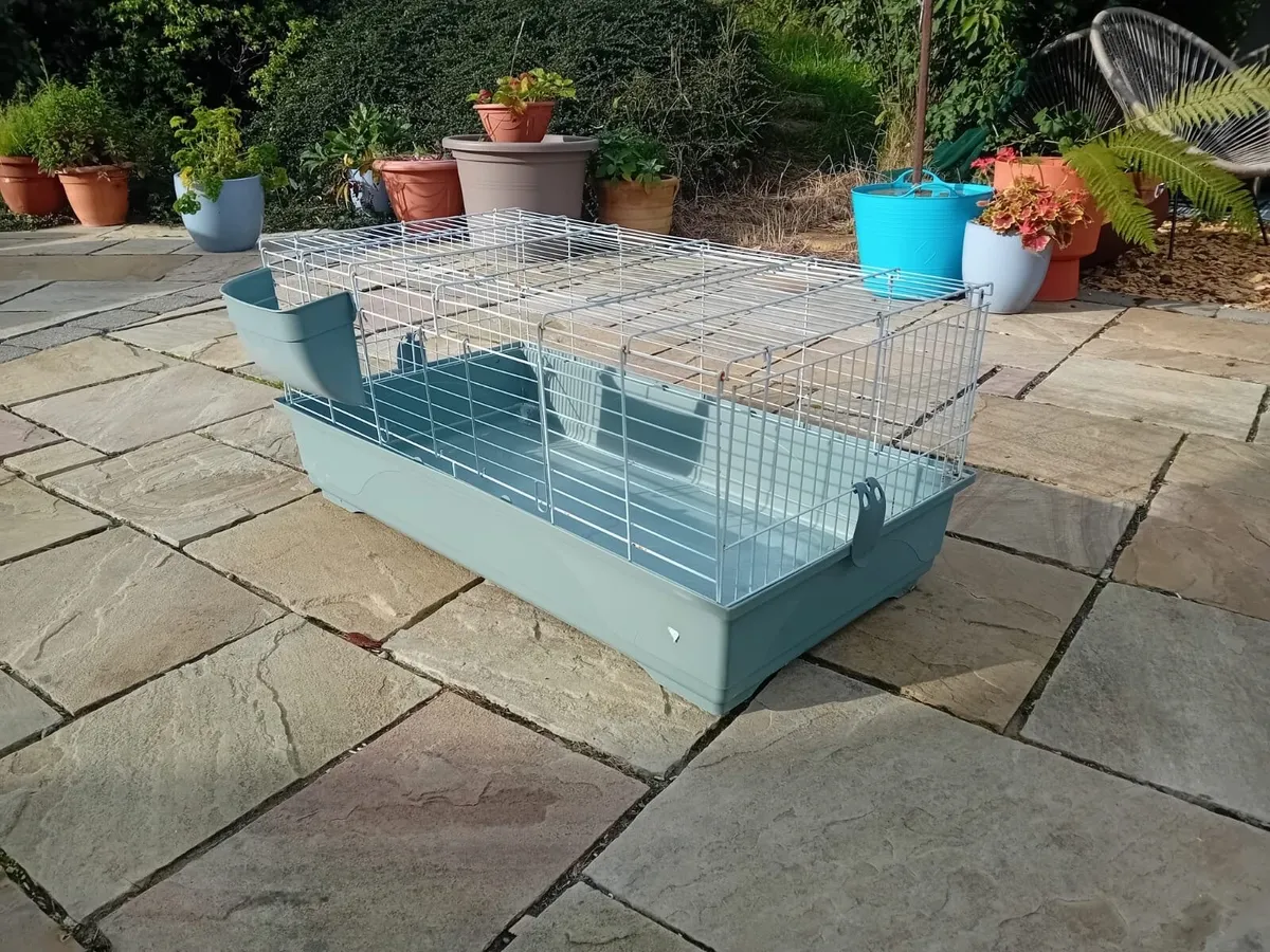 Rabbit Hutch - Image 4