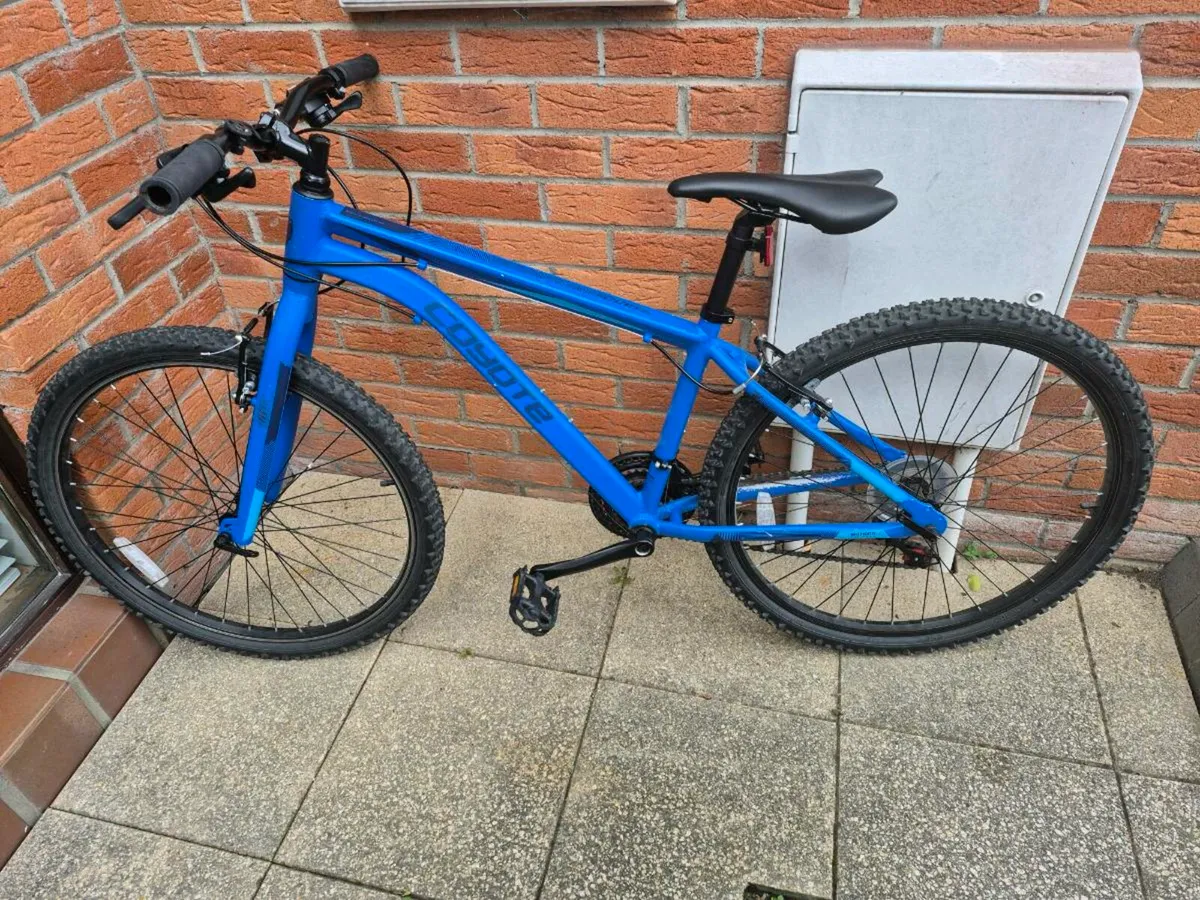 Kids blue bike - Image 1