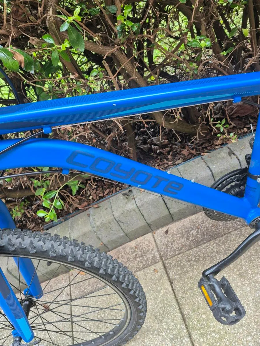 Kids blue bike - Image 3