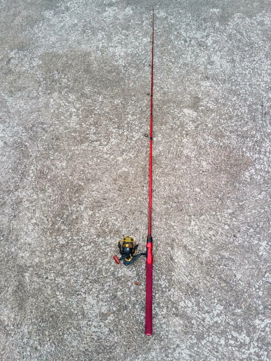 Fishing rod - Image 1
