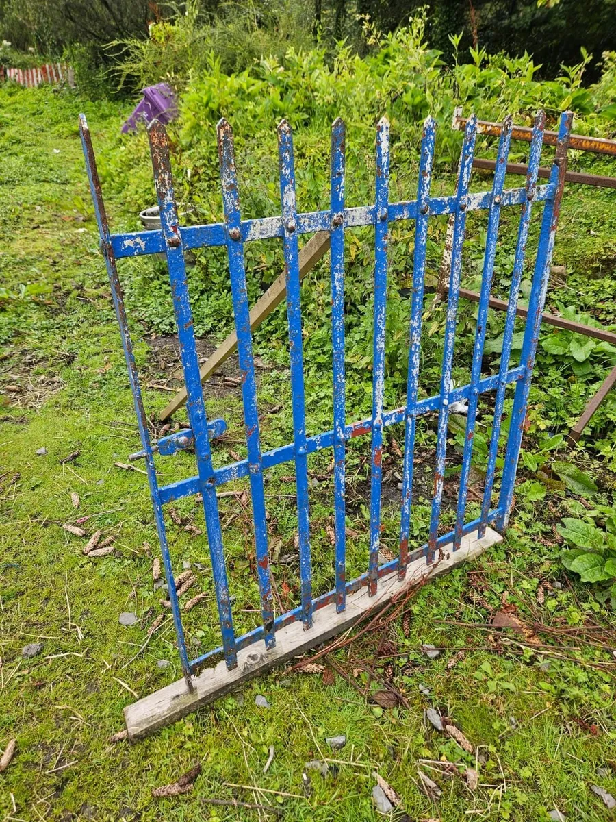 Iron gate. 100 Yr old forge made gate. - Image 2