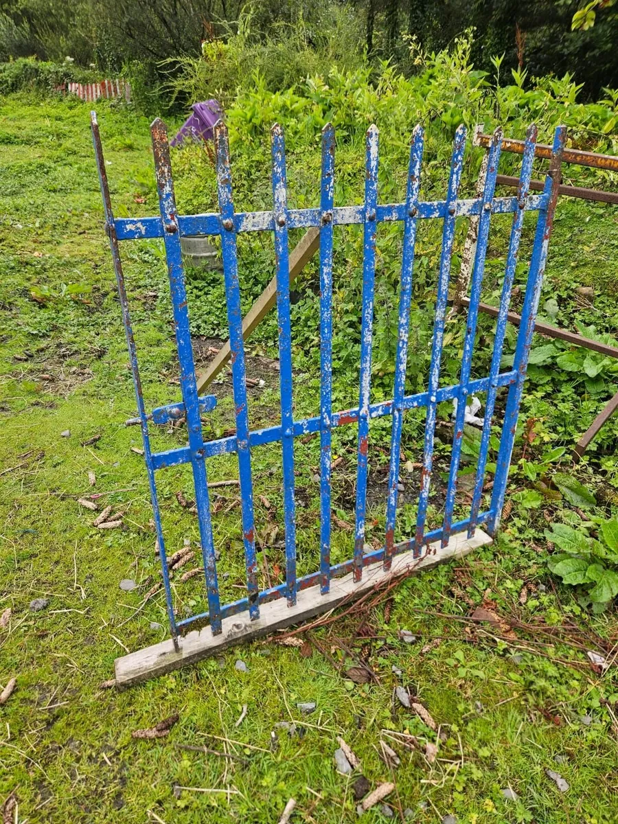 Iron gate. 100 Yr old forge made gate. - Image 3