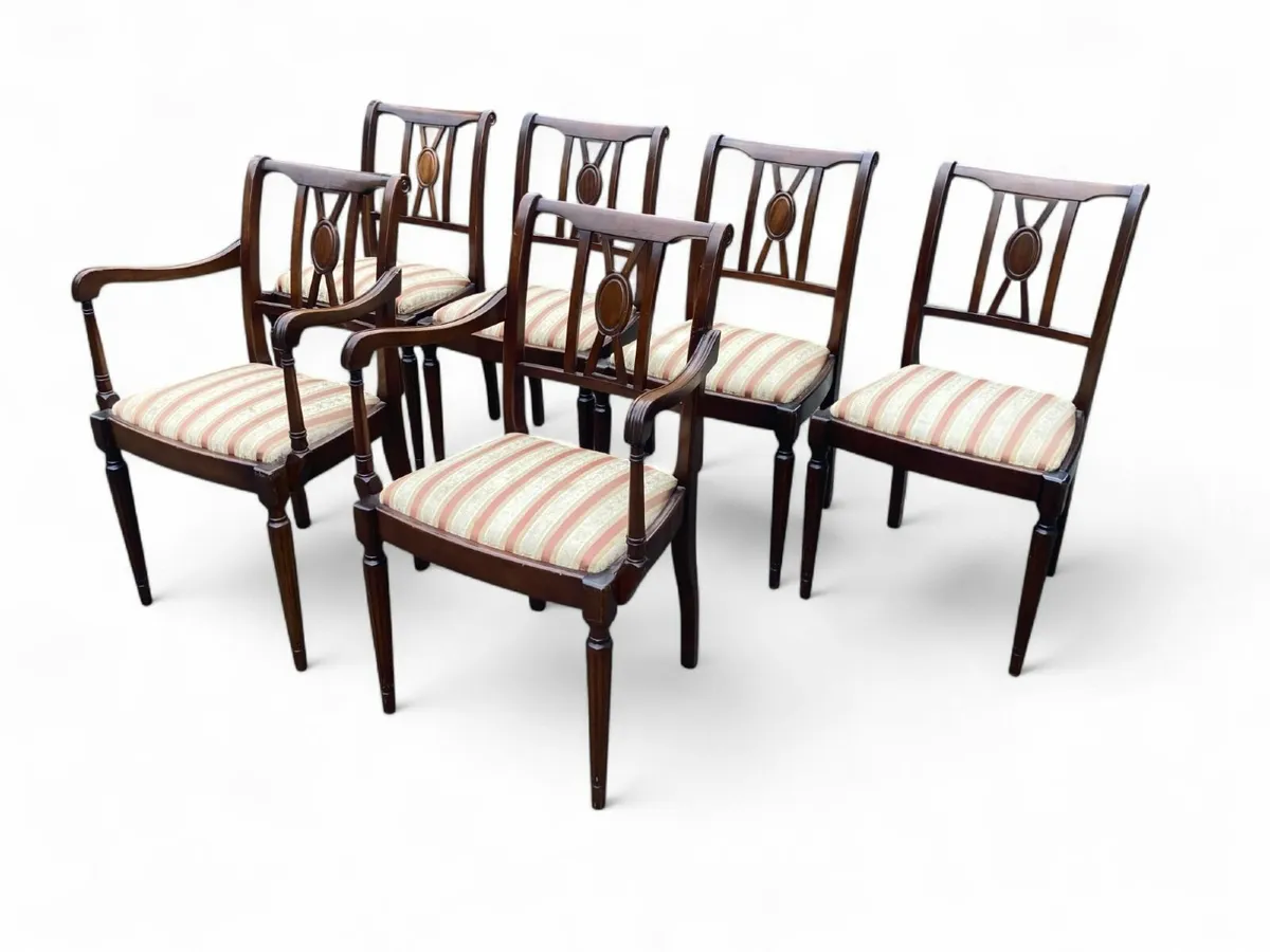 Chairs x 6 - Dining - Including 2 Carver Chairs - Image 3