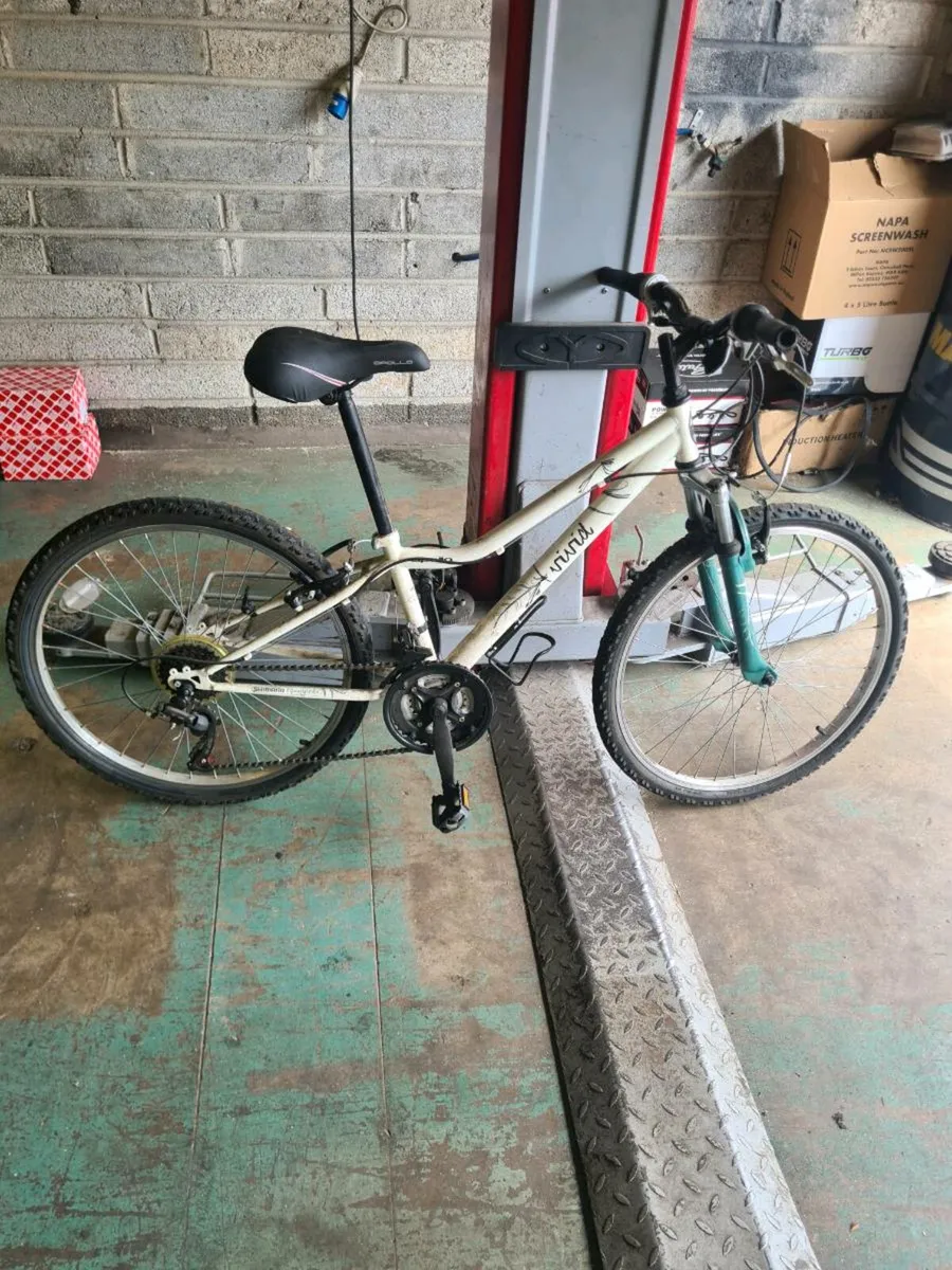 Girls bicycle - Image 1