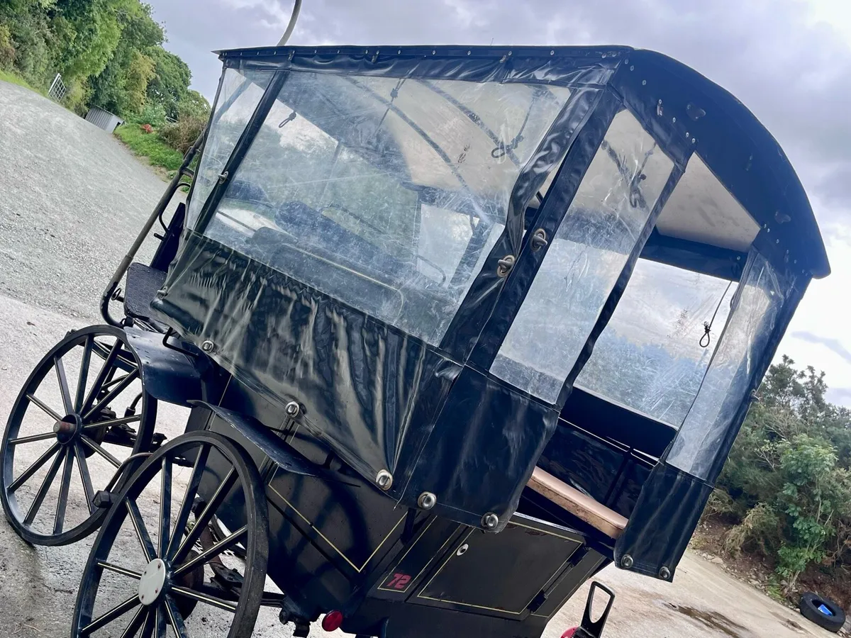 Horse carriage - Image 4