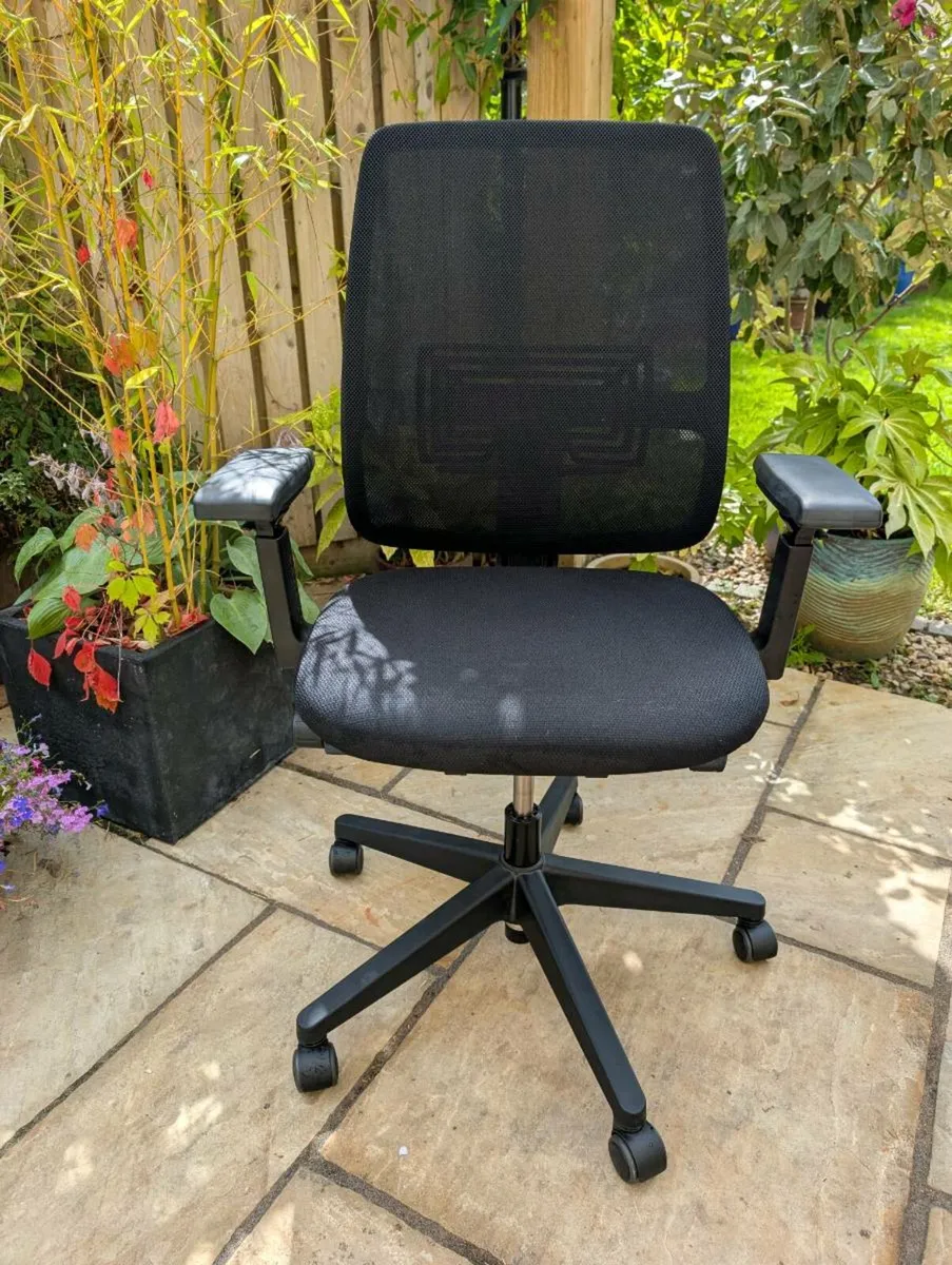 Ergonomic office chair - Image 1
