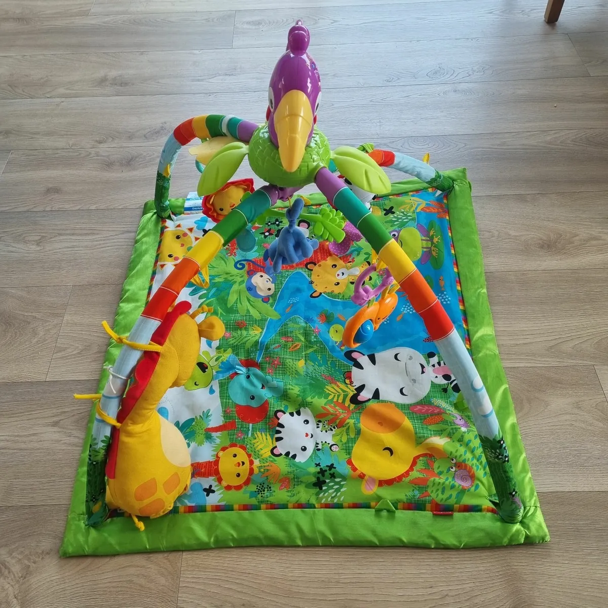 Fisher-Price Rainforest Musuc & Lights Deluxe Gym - Image 1