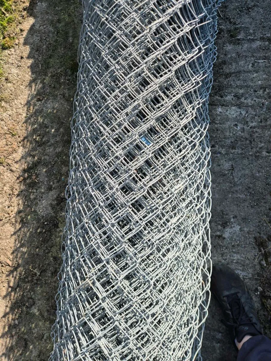 Horse wire - Image 2