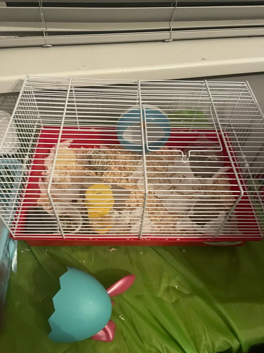 Hamster & Cage - Image 4