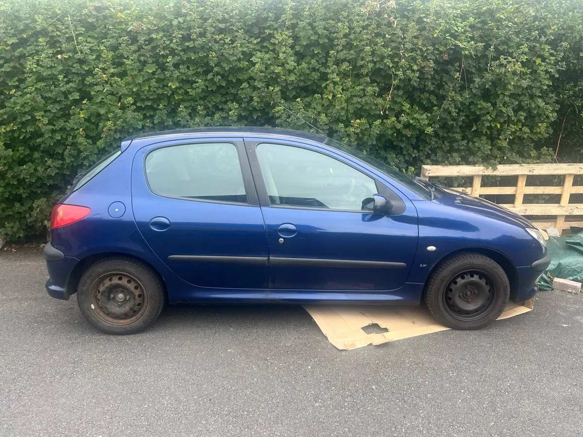 Peugeot 206 1.1 petrol - Image 3
