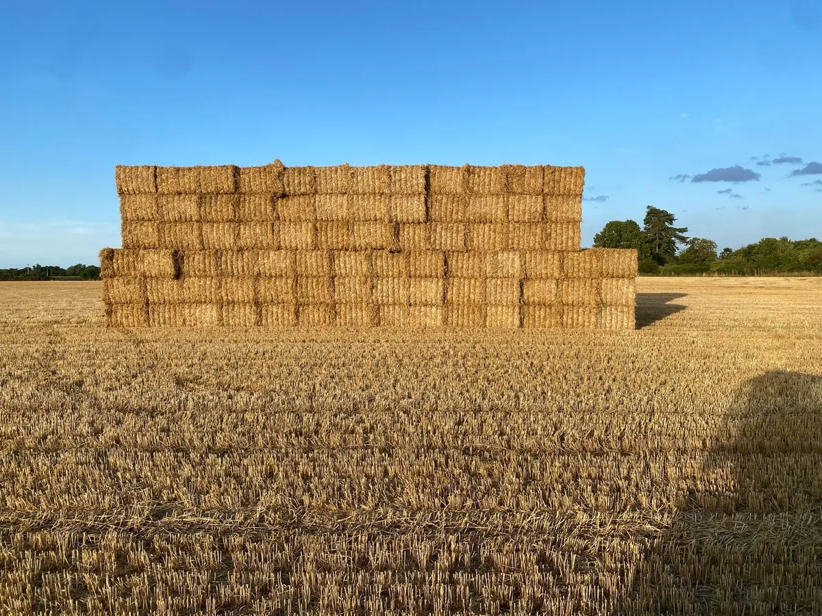 Straw