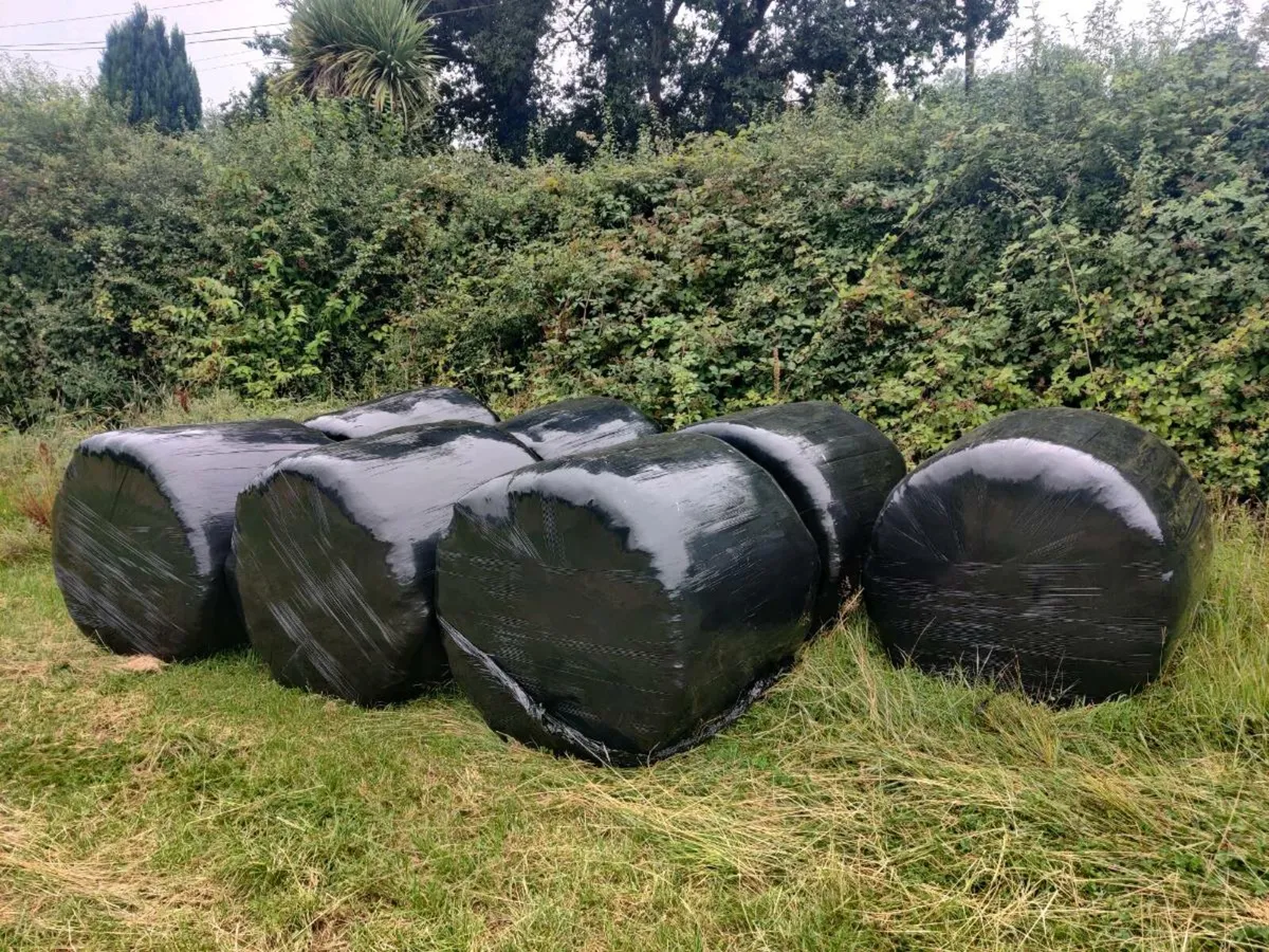 Sileage Bales 1st cut €30 euro each