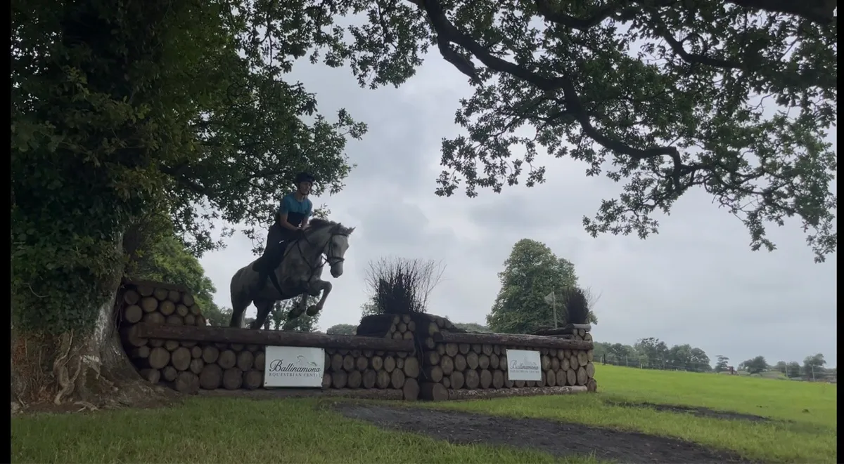 Fabulous 5 year old Connie with competitive edge - Image 4