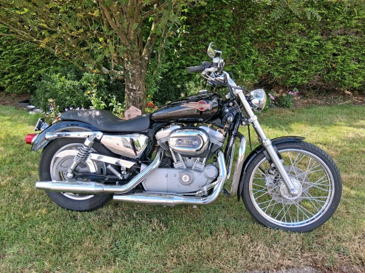 Harley Davidson may trade - Image 2