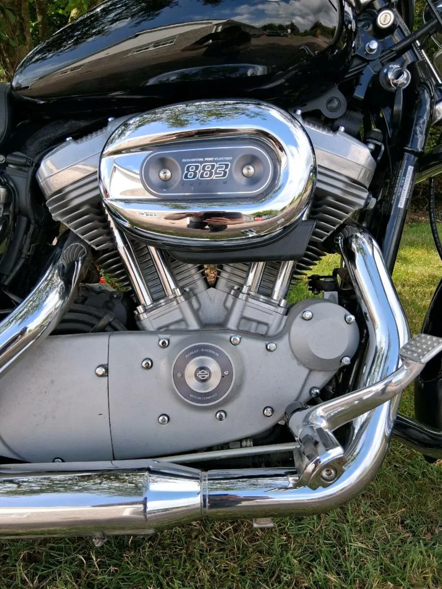 Harley Davidson may trade - Image 3