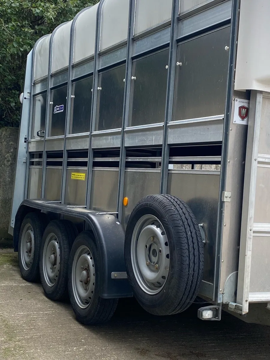 12ft High Roof Tri-Axle iForWilliams Trailer - Image 2