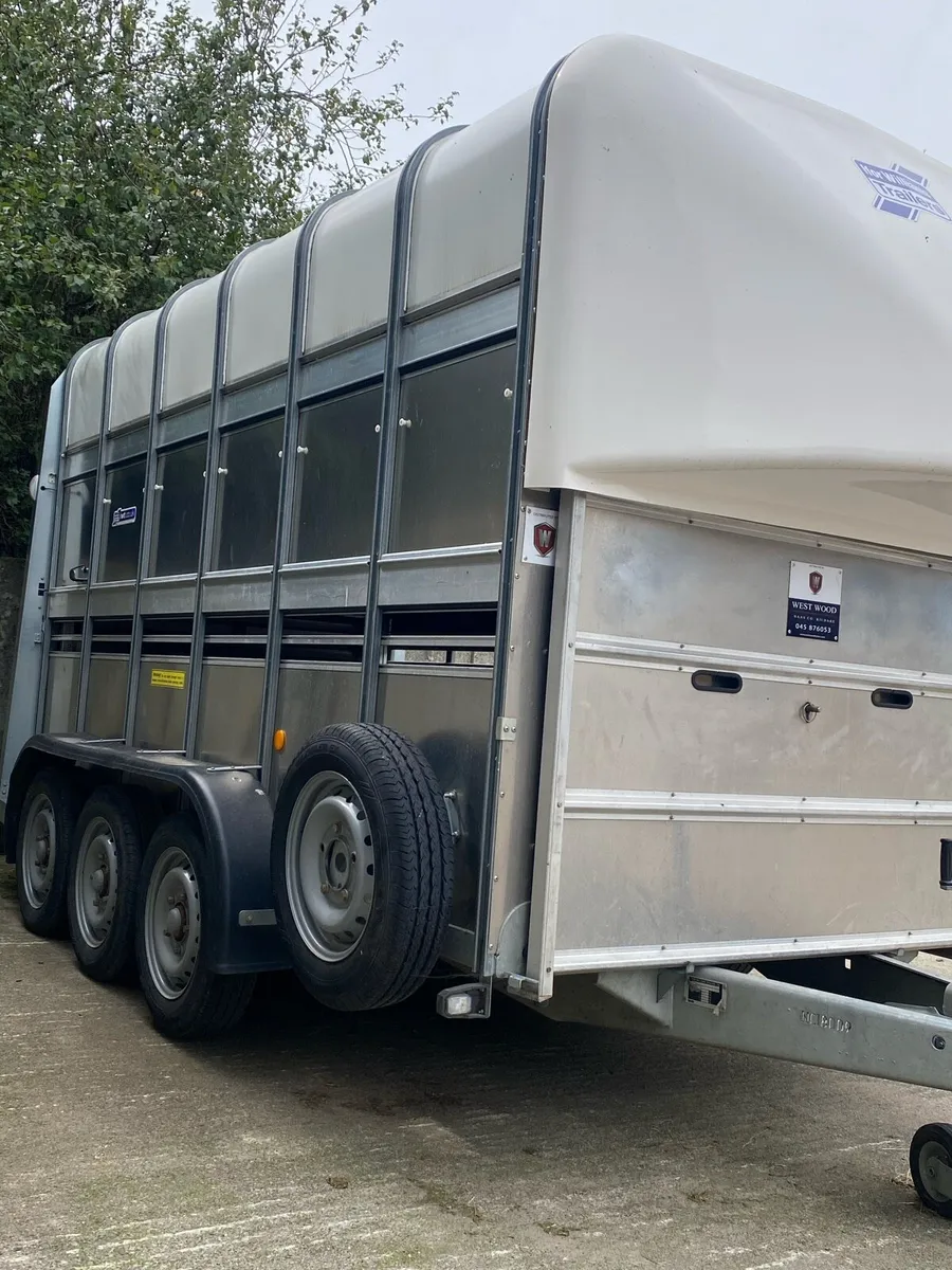12ft High Roof Tri-Axle iForWilliams Trailer - Image 3
