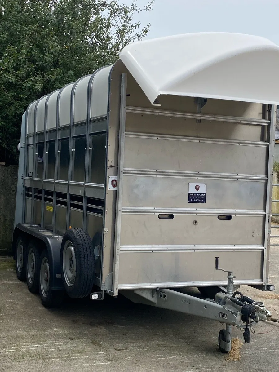 12ft High Roof Tri-Axle iForWilliams Trailer - Image 4